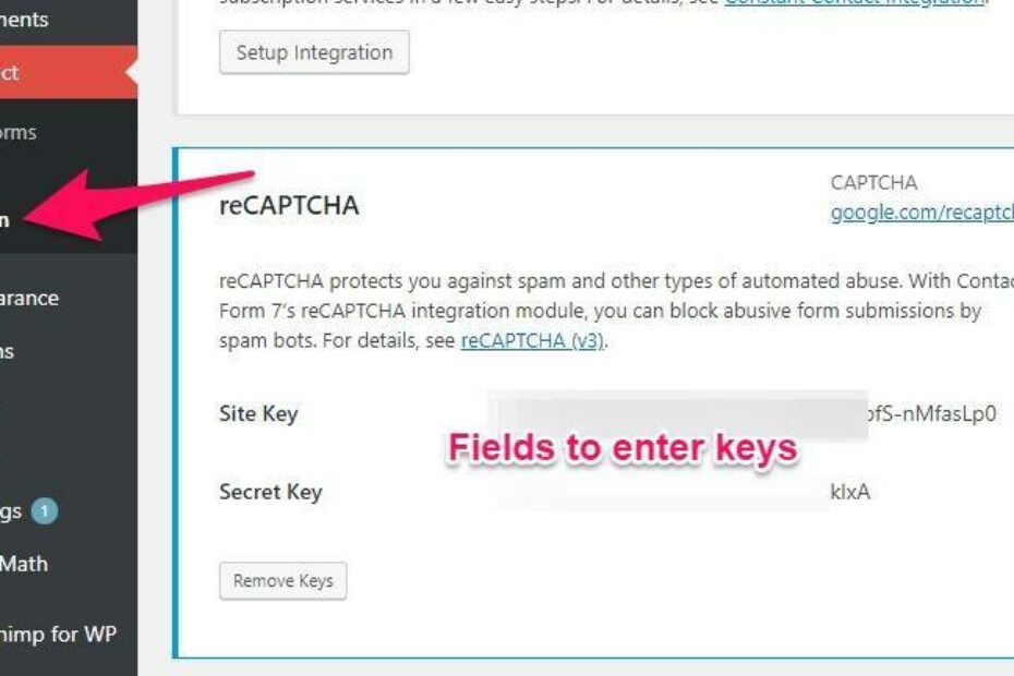 Google reCAPTCHA: integrate with CF7 to eliminate spam 4