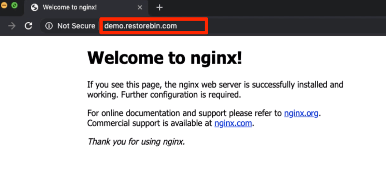 DNS propagation completed - Domain is resolving to IP Address