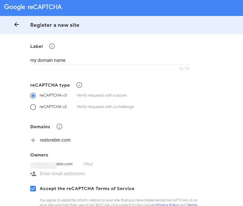 Google reCAPTCHA registration