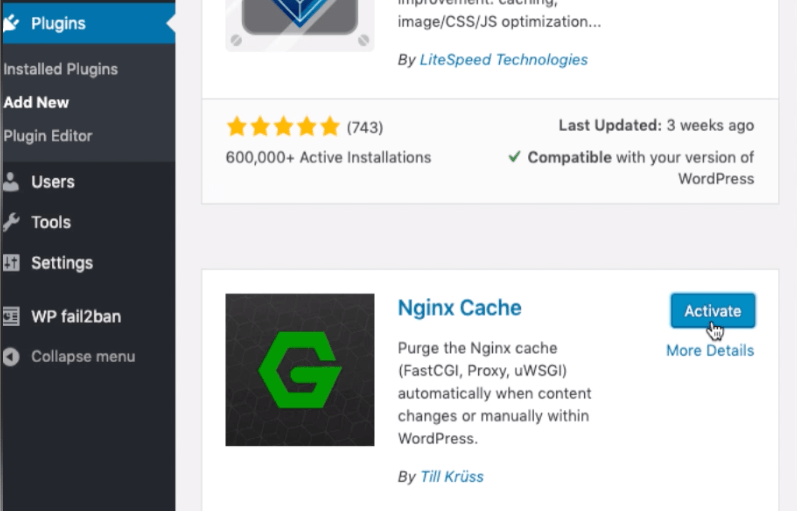 Nginx Cache Plugin by Till Kruss