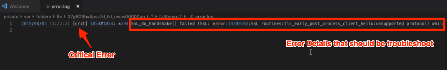 Nginx Log File with Error details