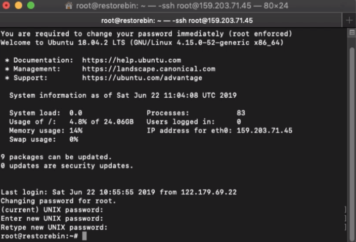 Ubuntu Cloud Server Login SSH Successful