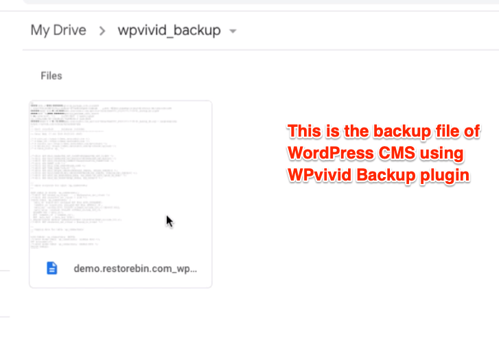 WPvivid backup in Google Drive