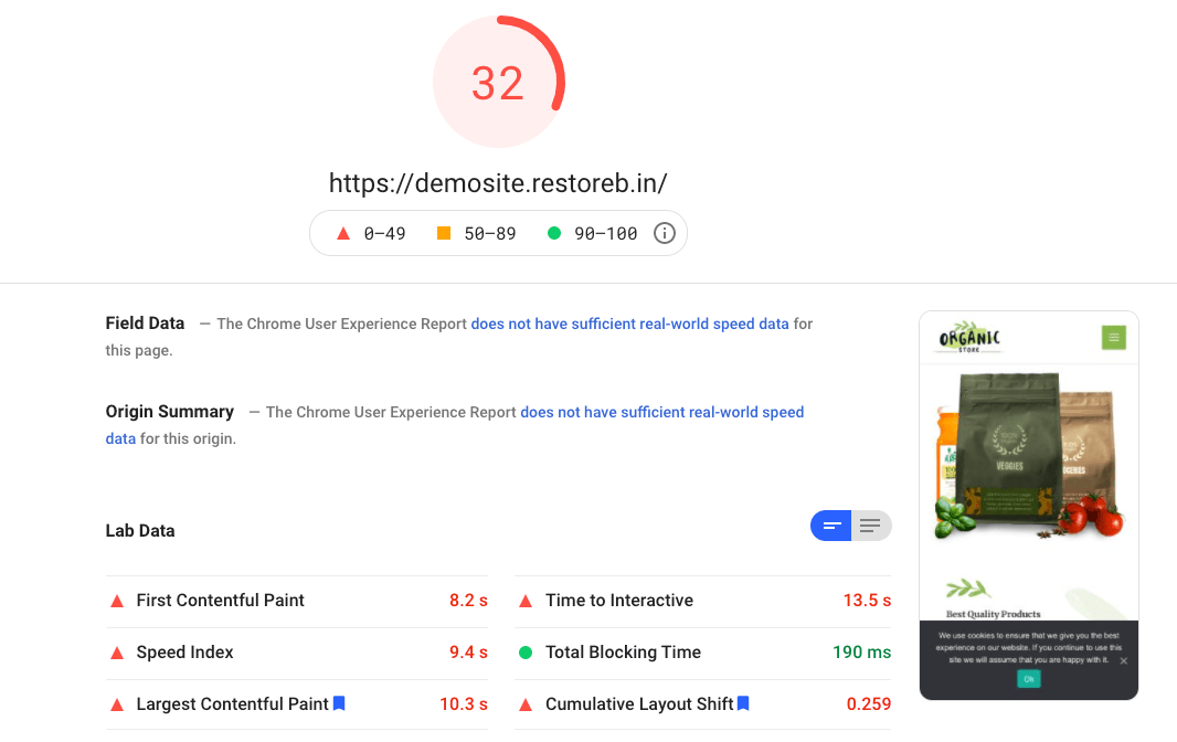 PageSpeed Insights for WooCommerce Demo Site